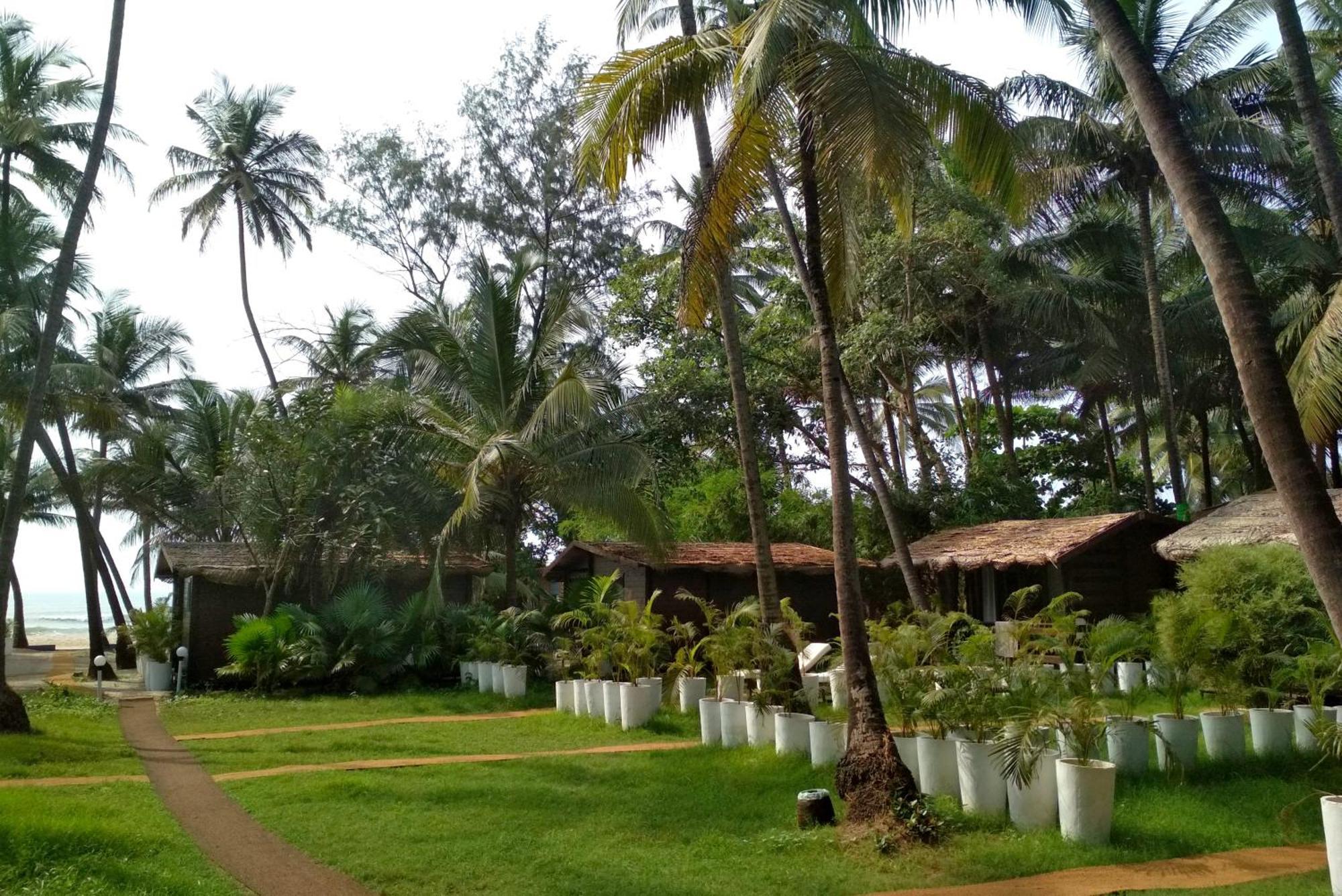 Mamagoa Beach Resort Mandrem Eksteriør billede